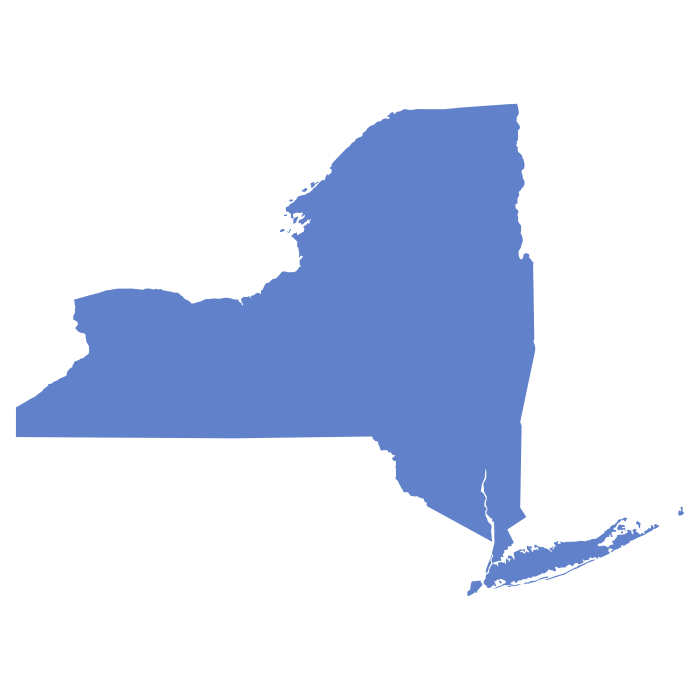 NY state image